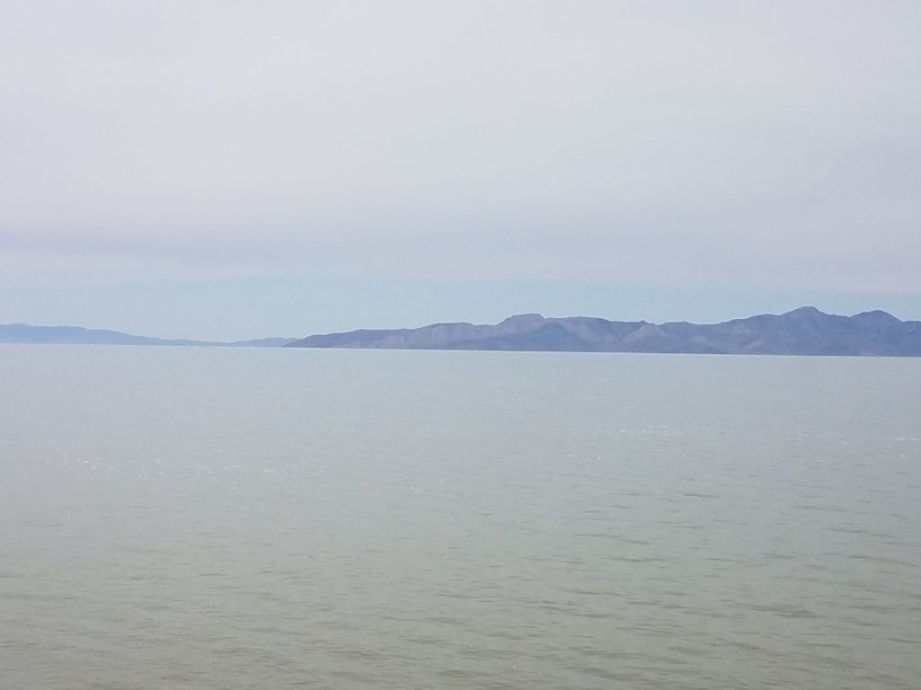 salk lake